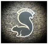 Homestead Princeton Black Squirrel Sticker
