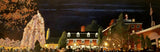 "Princeton Tree Lighting” by Sean Carney