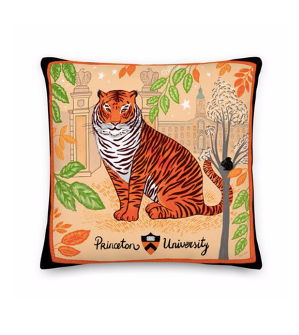 Princeton University Pillow